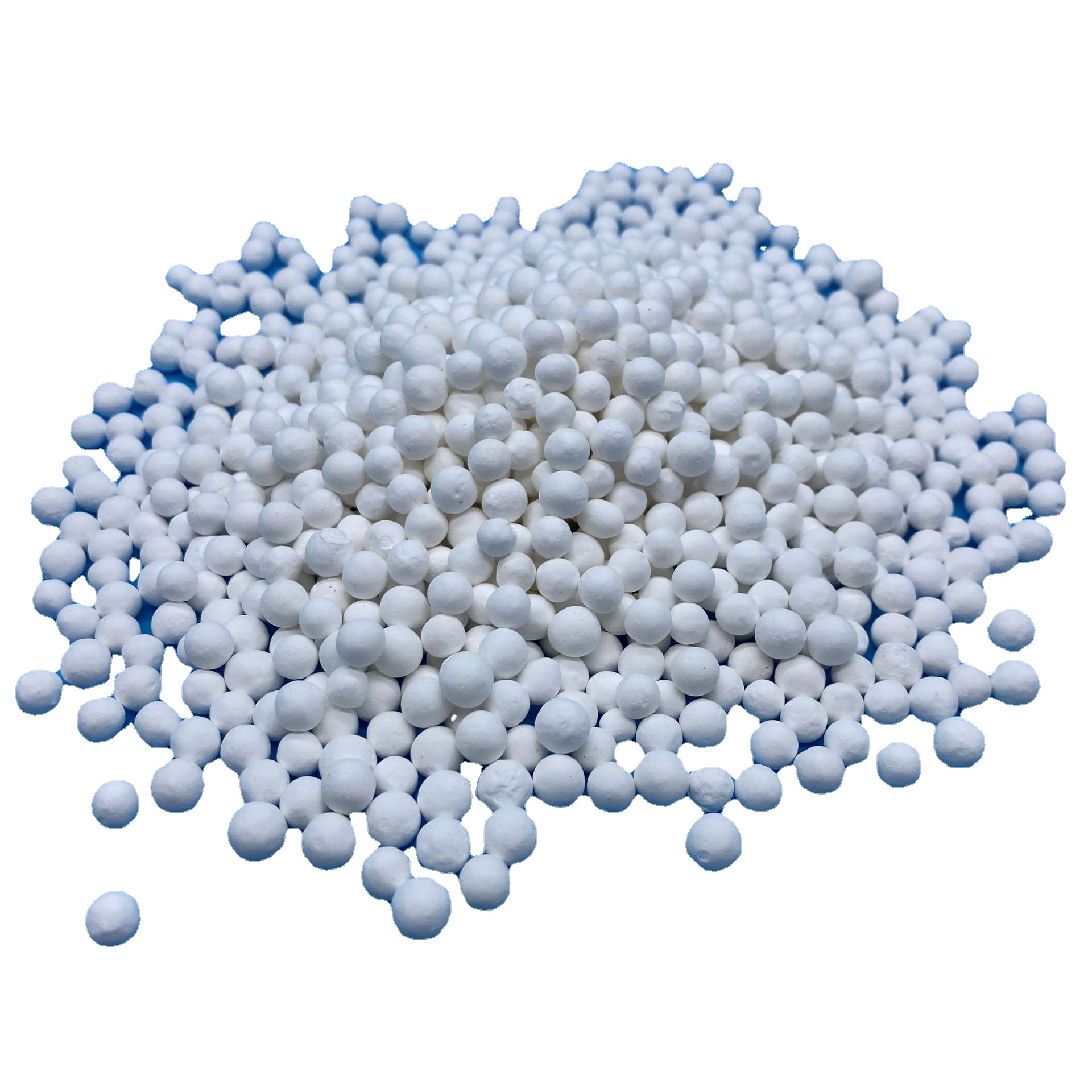 ��������������������� ������������������� ���ʳ�����������