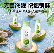 轻上100%椰子水饮料孕妇可喝东南亚椰源椰子汁含电解质饮品245ml
