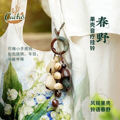 果壳挂铃植物音疗乐器果实摇铃音束排铃车挂包包挂件女生儿童礼物
