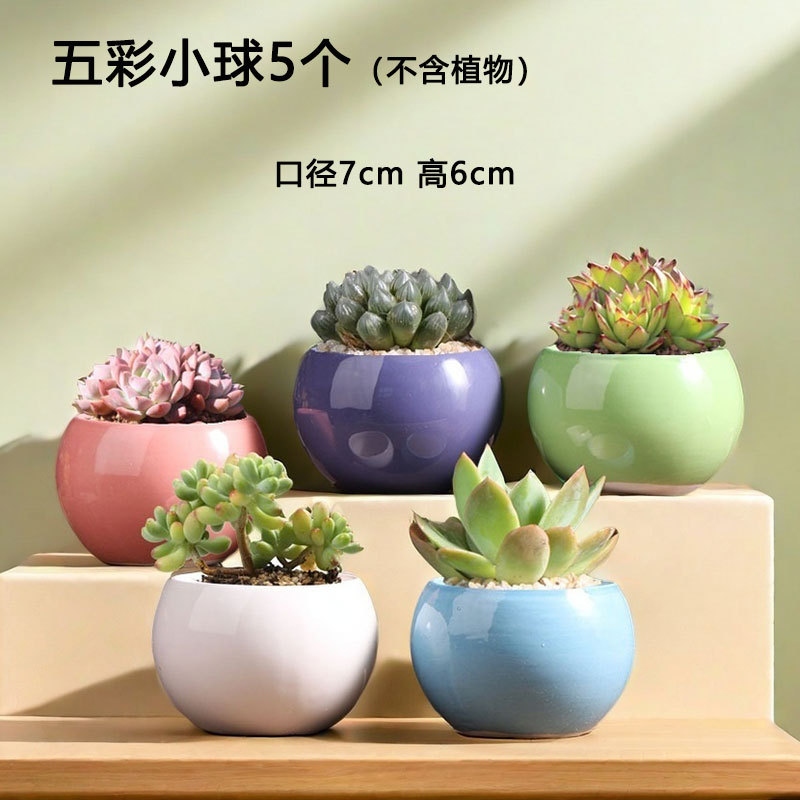 Bolas de colores, macetas suculentas, balcón, hogar, carne, plantas, cerámica, cerámica, macetas pequeñas, venta directa de fábrica al por mayor