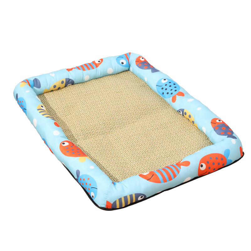 Z pez azul nido cuadrado de borde completo