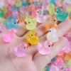 Natto duckling