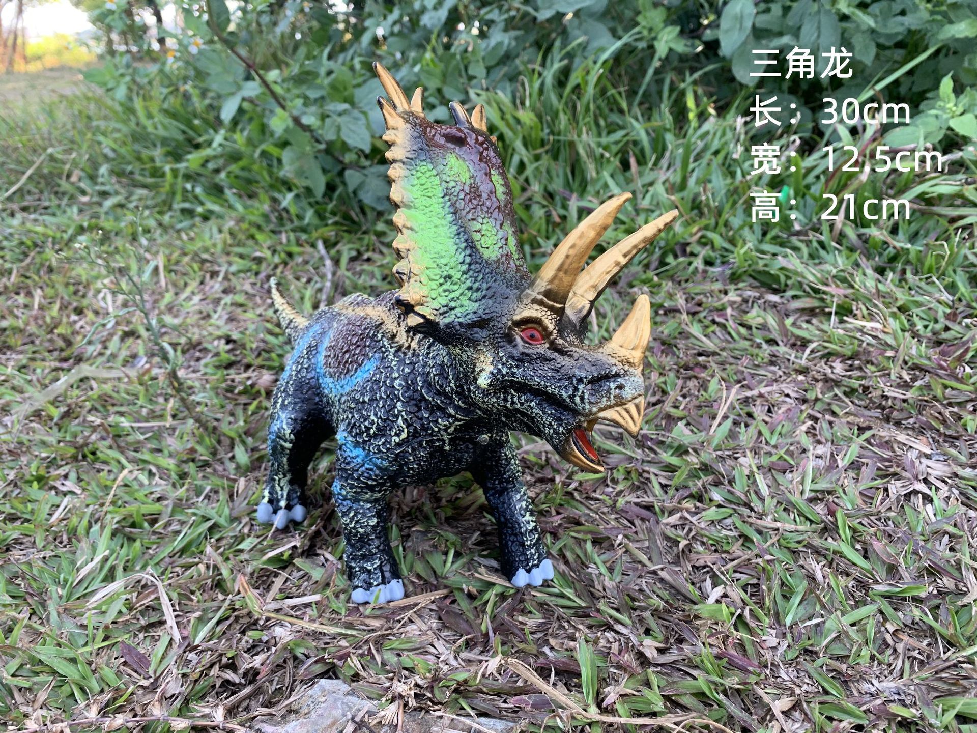 New Middle Triangle Dragon Black