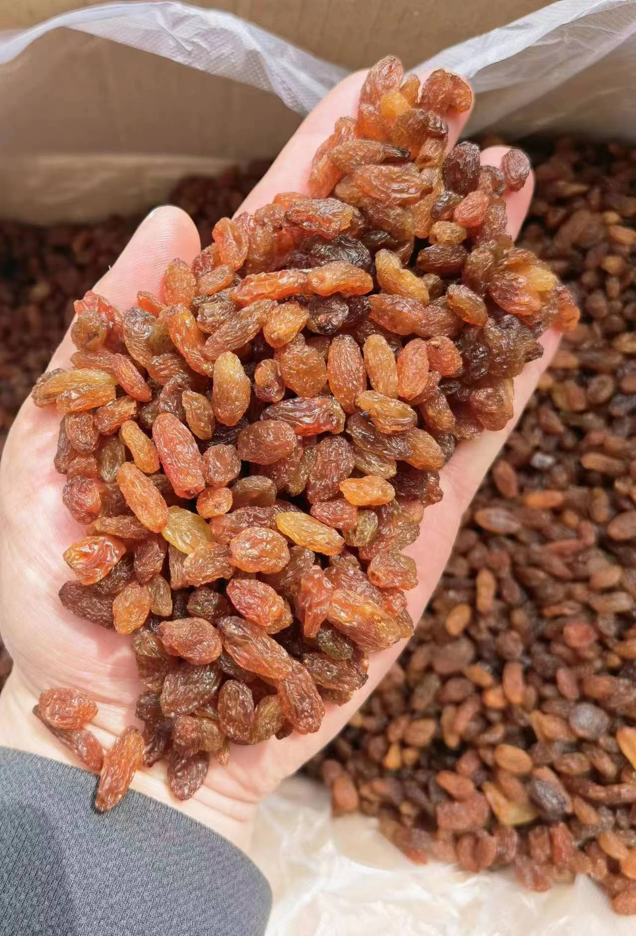 厂家供应纯黄免洗葡萄干红提果干 居家零食深红黄红葡萄干