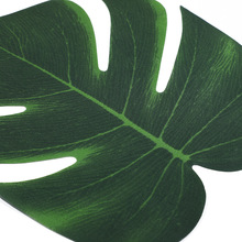 oU~~Sl ֲӼb| 쾰h