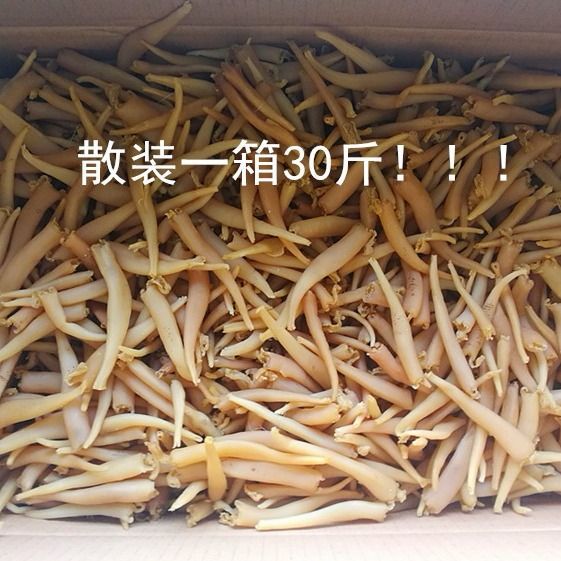 丹东特产野生象拔蚌干象牙蚌干丝海笋贝象鼻棒海棒干海鲜贝类干货