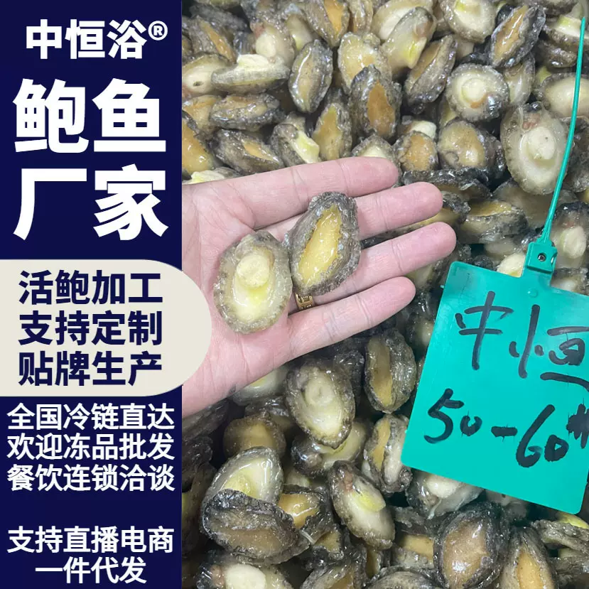 冷冻鲍鱼肉去壳去内脏海鲜水产商用食材大小鲍鱼50-60头高蛋白