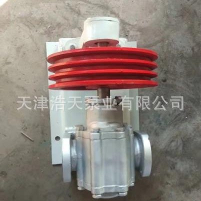 皮带轮渣油齿轮泵TDCBZ 机油 柴油 胶水 树脂 稠油 沥青齿轮泵