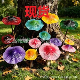 �羳���N��Ʒ��ɫ���PĢ���ز��b�ͥԺһ��һС���⻨�@��Ʒ����