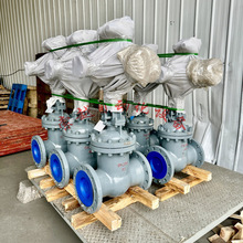 �V��늄ӷ������m�l�y MZ941H-100C �������� �߉�Ӳ�ܷ� DN500