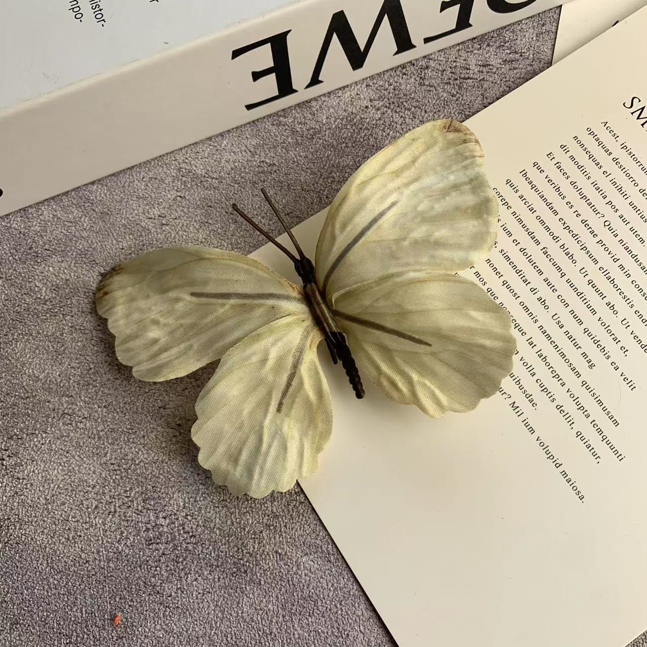 빅 버터플라이 샴페인