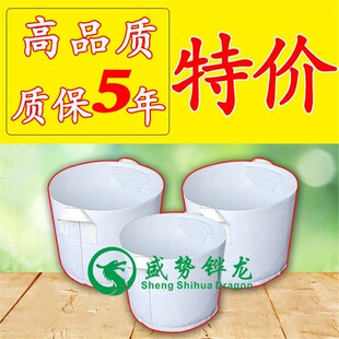 �Ӻ���ֲֲ����������ܴ���ֲ�������Nֲ�I�B�o����