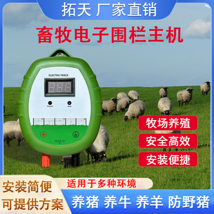Livestock breeding electronic fence breeding cattle sheep pig high voltage pulse host pasture electric fence protection net system