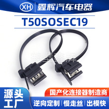 T50S0SEC19 ���������� ����ֱ��