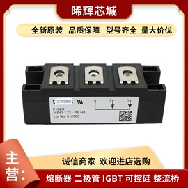 普通晶闸管;IGBT模块;其他二极管