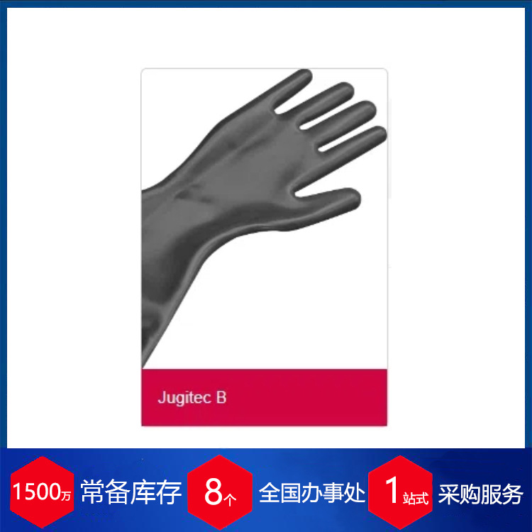 德国JUNG手套箱防护手套 JUGITEC B