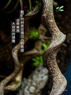 lover电影未删减在线播放