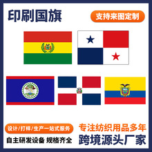 团建活动旗帜装饰旗帜多种尺寸旗帜涤纶旗国旗双面高清印制手摇旗