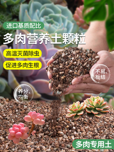 Fleshy Nutrient Soil Particle Special Soil Planting Cultivation Soil Flower Cultivation Universal Peat Plant Flower Soil Paving Stone