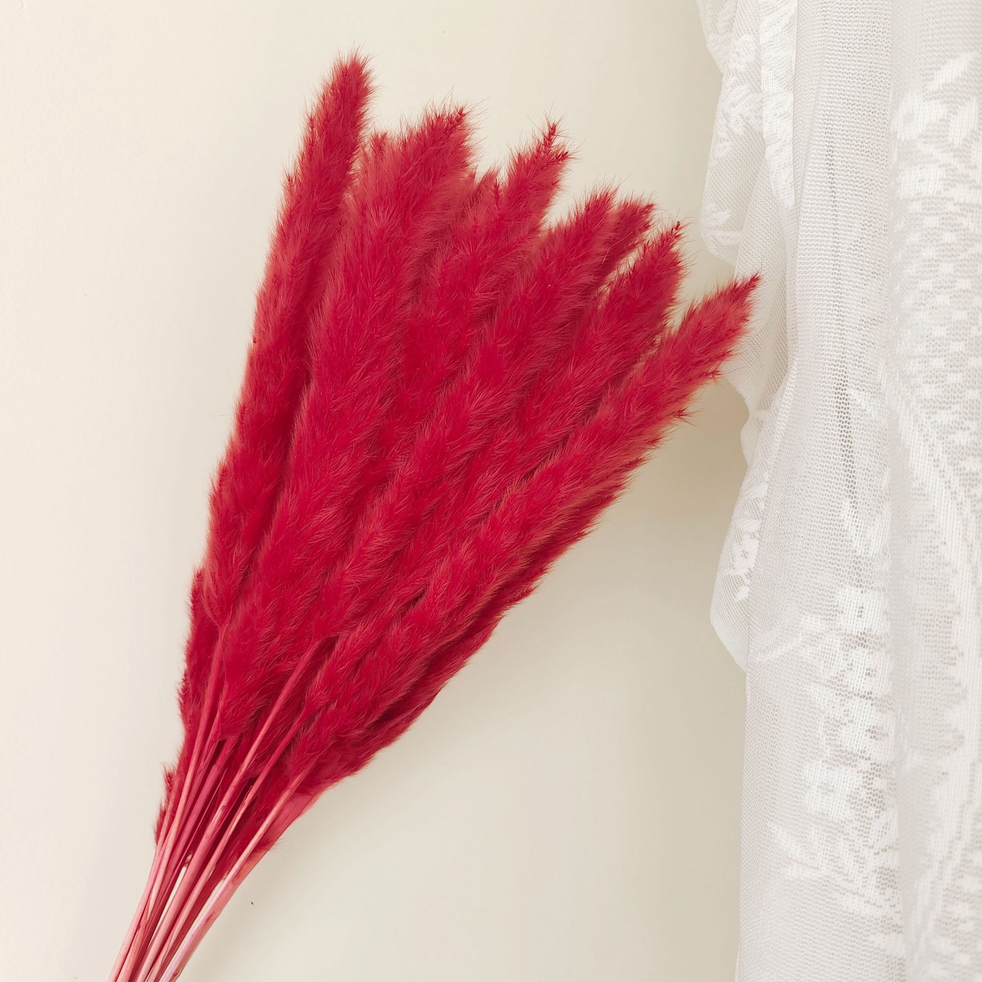 빨간색 가지 15개