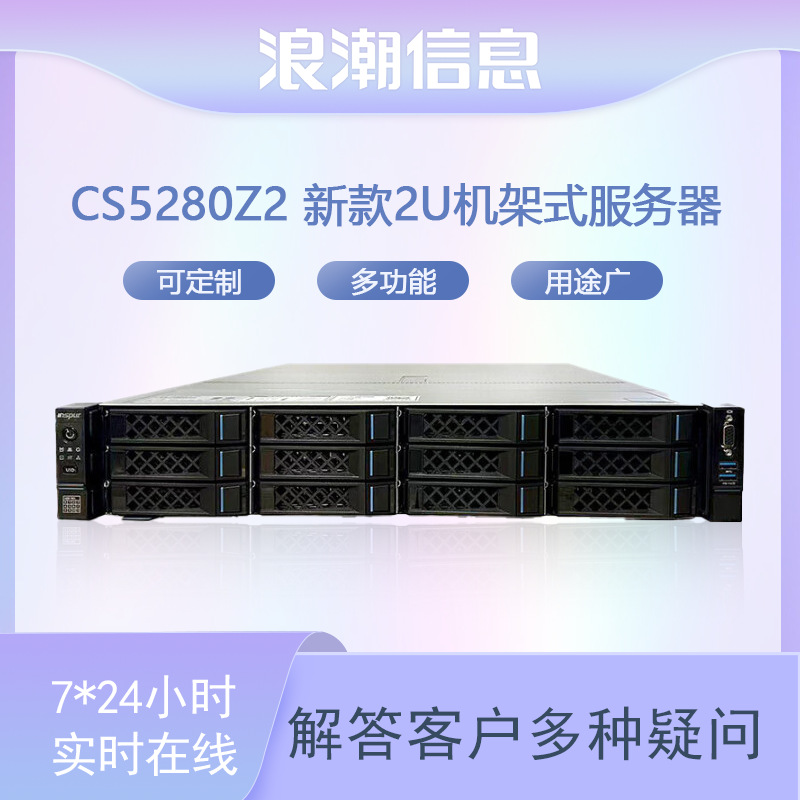 Suitable for Inspur CS5280Z2 Rack Server 2U Domestic Server Computer…