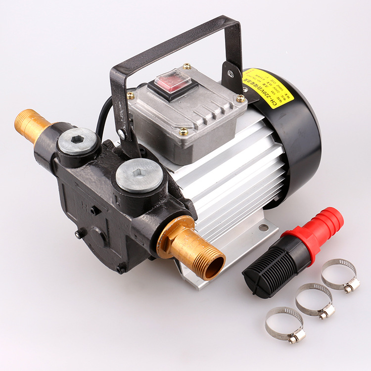 大功率220v电动抽油泵 大流量吸油泵 输油泵 煤油 柴油 抽油机