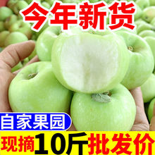 苹果批发青苹果水果新鲜脆甜酸应季一整箱平果山西非丑红富士工厂