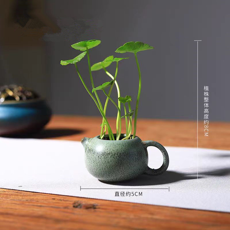 微信图片_20240526161810