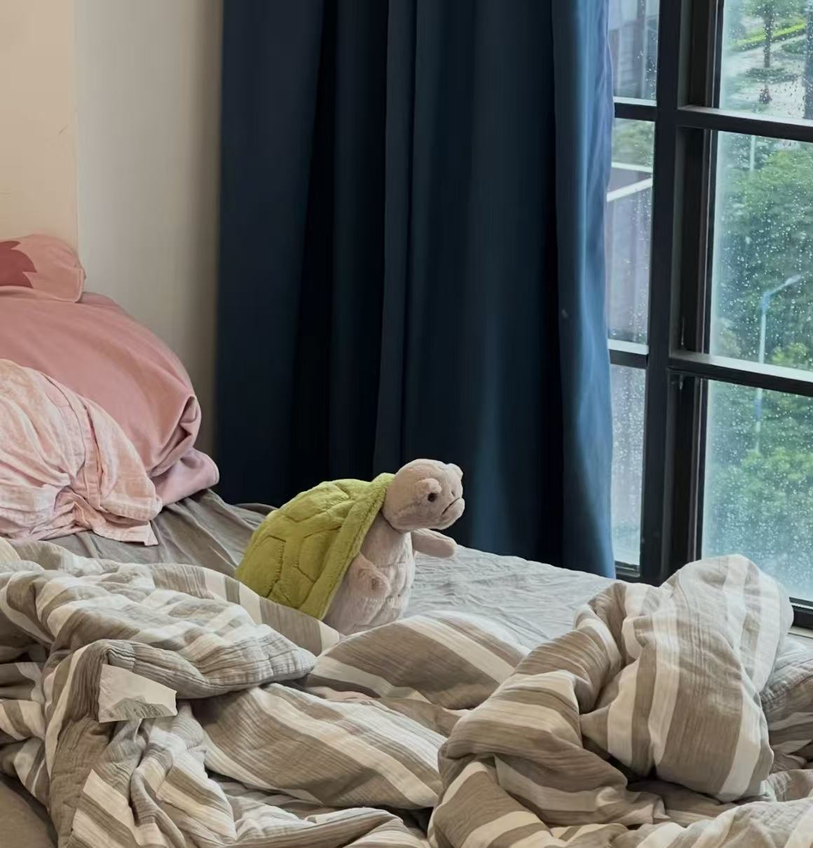 コレクション1;