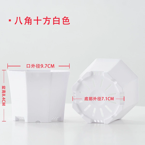 [八角十方白色]