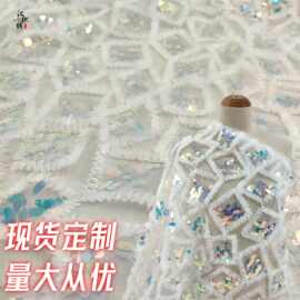 春夏新款盘带绣 夏季礼服童装演出服绣花布料  瓜子片刺绣面料