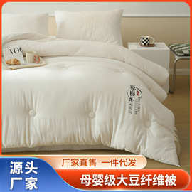 新款原棉大豆被母婴级大豆纤维被芯冬季加厚被芯冬被学生春秋被子
