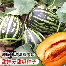 �ļ��������������ϷN�ӷNֲ��ϷN���ִ�С��ͥԺˮ���N��