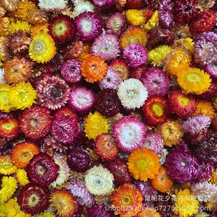 Wholesale straw chrysanthemum flower head by weight boutique handmade dried flowers small daisy chrysanthemum Yunnan raw materials colorful chrysanthemum
