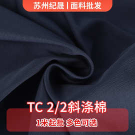 厂家供应TC 2/2斜纹涤棉面料100D*21S/167*101工作服工装裤面料