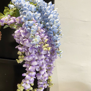 ���l ���������ٻ� �ٻ��������ٻ�Y���b��潁���Ƶ����b�