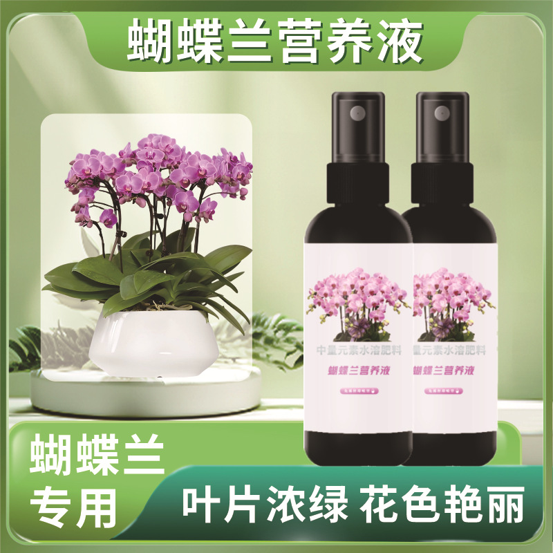 蝴蝶兰营养液