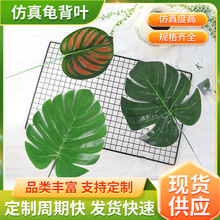 �F؛�����~���滨�Ҿ��bGֲ��c���Է���ֲ���Y��չ�c��