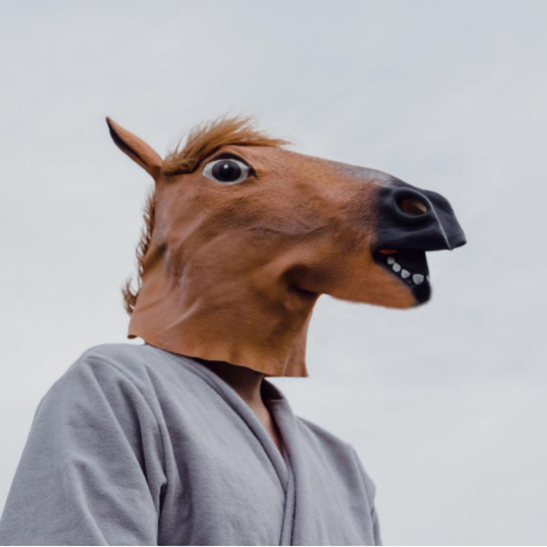 Halloween transfronterizo cabeza de caballo animal máscara de látex cara completa unicornio cara de caballo máscara de caballo cabeza de caballo al por mayor