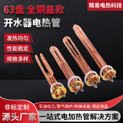 水ボイラー電熱管水ボイラー加熱管水ボイラー加熱管全銅加熱ロッド卸売 220V/380V