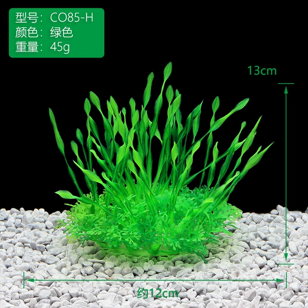 CO85-H【Green】