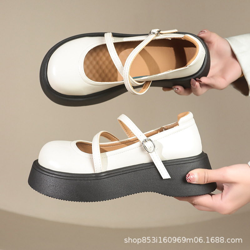 2025022409152573720235w800h800