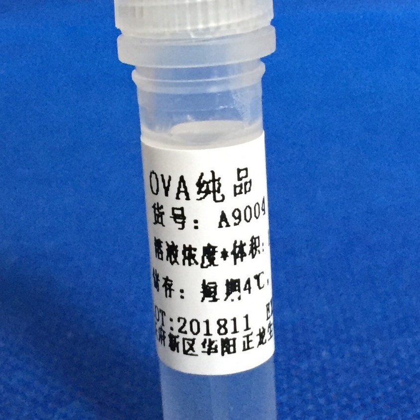 鸡卵白蛋白（OVA）