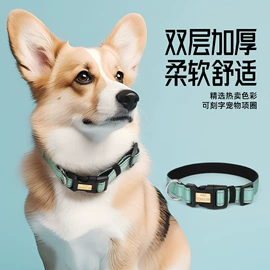 狗狗牵引;狗狗服装;猫猫牵引