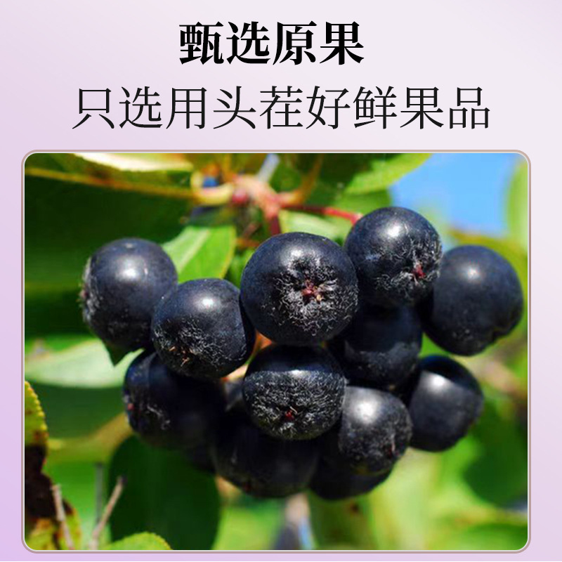 不老梅原浆果汁浓缩植物饮料含花青素果蔬汁鲜果鲜榨黑果便携批发|undefined