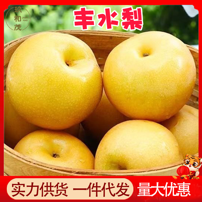 正宗丰水梨整箱冰糖梨子现摘新鲜水果非秋月梨山东莱阳梨山东产