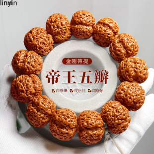 �����Ჴ������������ִ��б������y����������ԭ�Ѻ��ұP�����