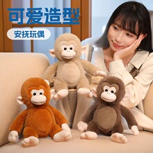 �W�t�L��С�J�﹫��ë�q��߿�ͨ�ɐ۫J������żŮ�����նY��羳