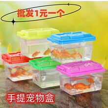 金鱼缸乌龟缸塑料运输盒宠物饲养仓鼠盒爬虫手提大中小号透明轻邦