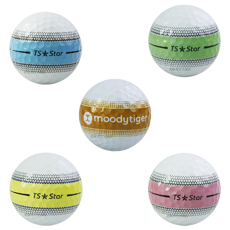 �߶����Ƹ���ϰ����о�ϳ��������ڶŰ�ɳ���ͻ���˫��ṹ��